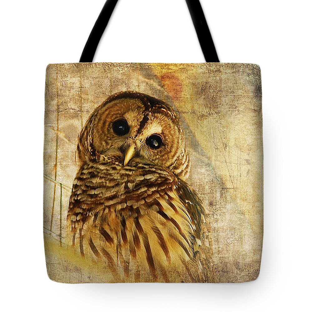 Owl Tote Bag featuring the photograph Barred Owl by Lois Bryan