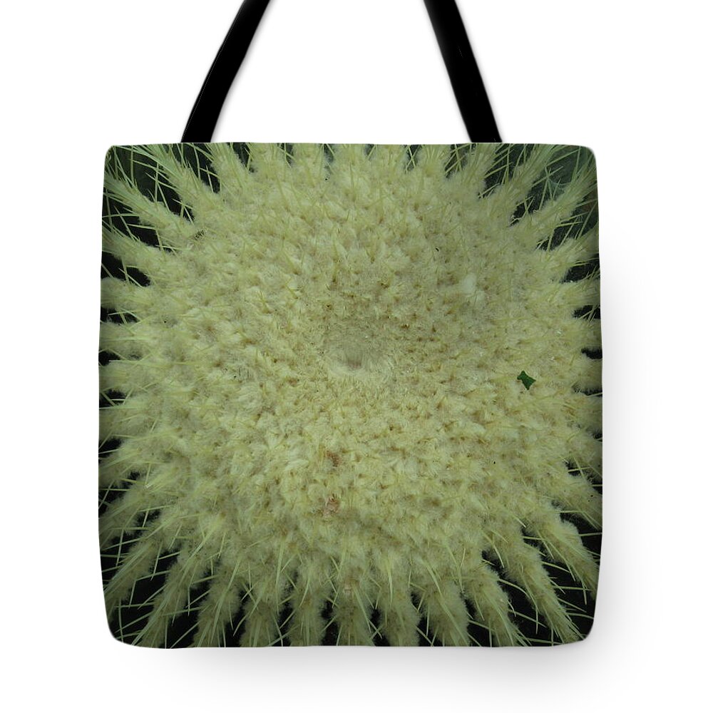 Tote Bag featuring the photograph Barrel Top by Ron Monsour