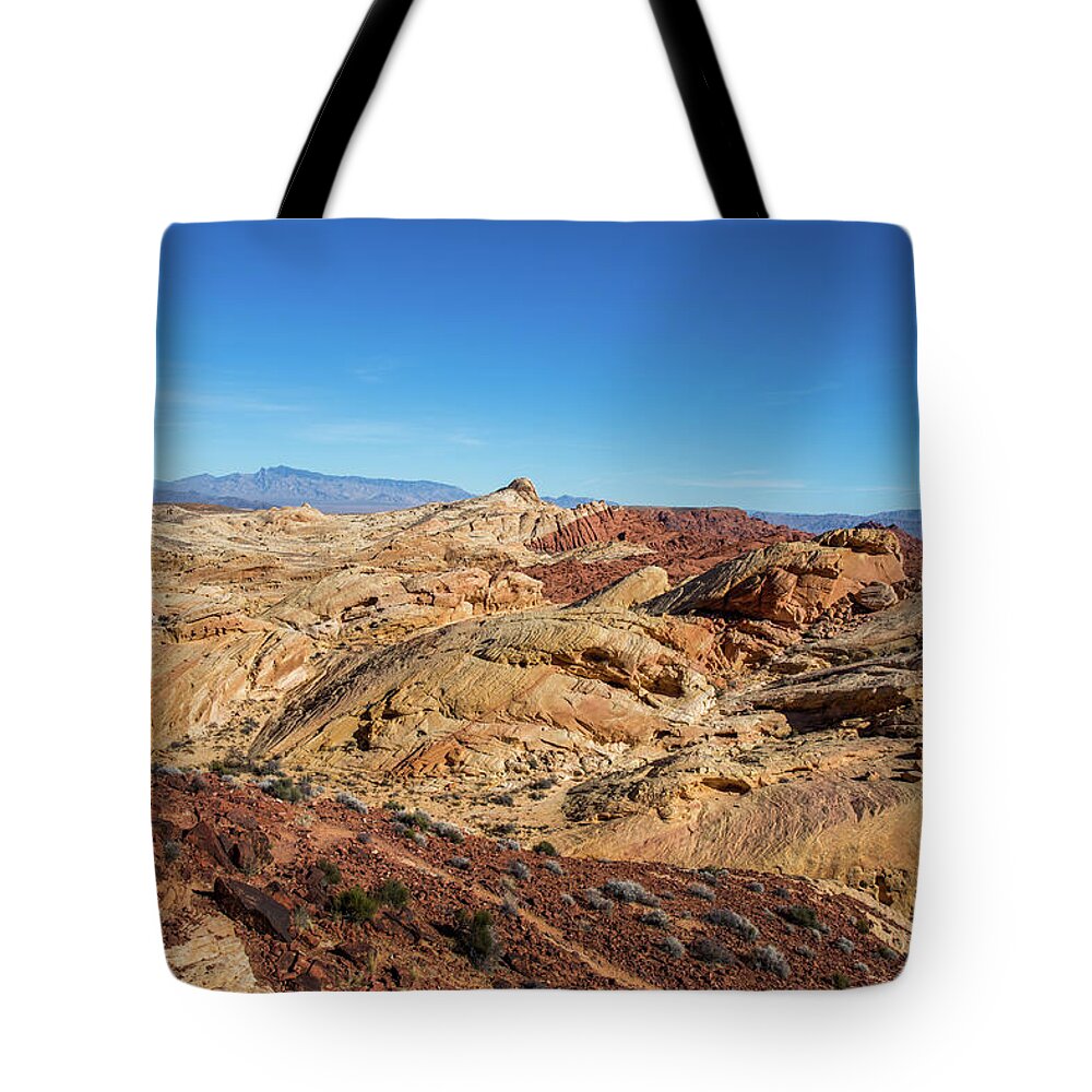 State Park Tote Bag featuring the photograph Barren Desert by Ed Clark