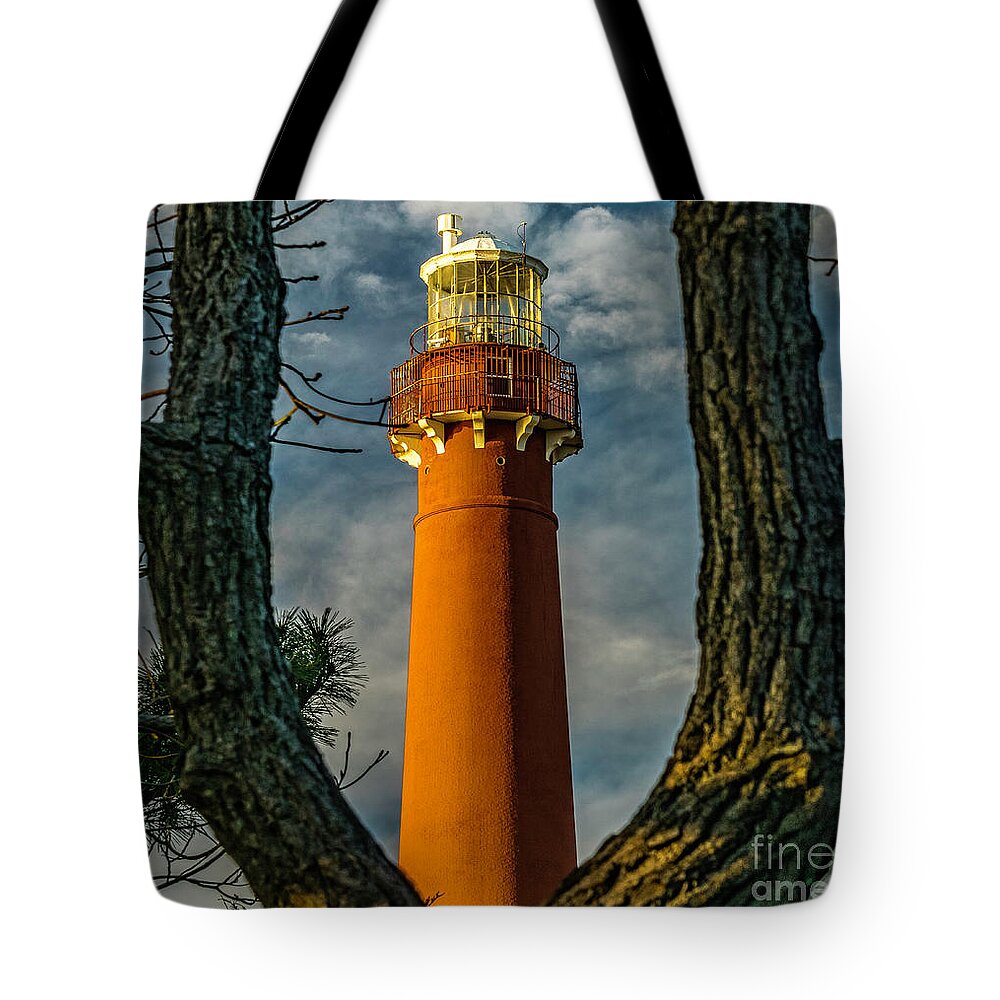 Atantic Coast Tote Bag featuring the photograph Barrny Thru the Trees by Nick Zelinsky Jr