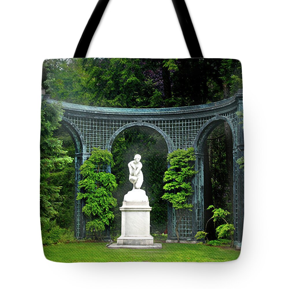 Female Statue Tote Bag featuring the photograph Bashful by Diana Angstadt