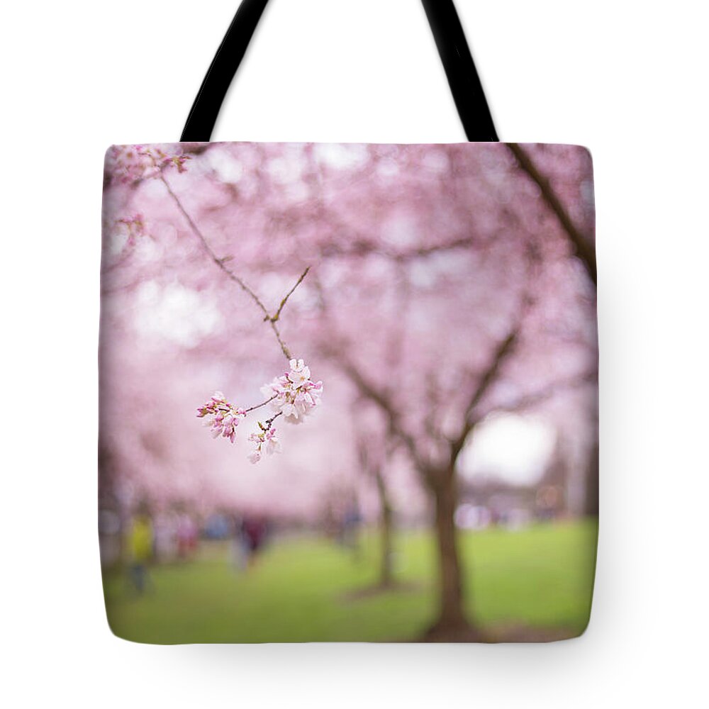Portland Cherry Blossoms Tote Bag featuring the photograph Basho's blossoms by Kunal Mehra