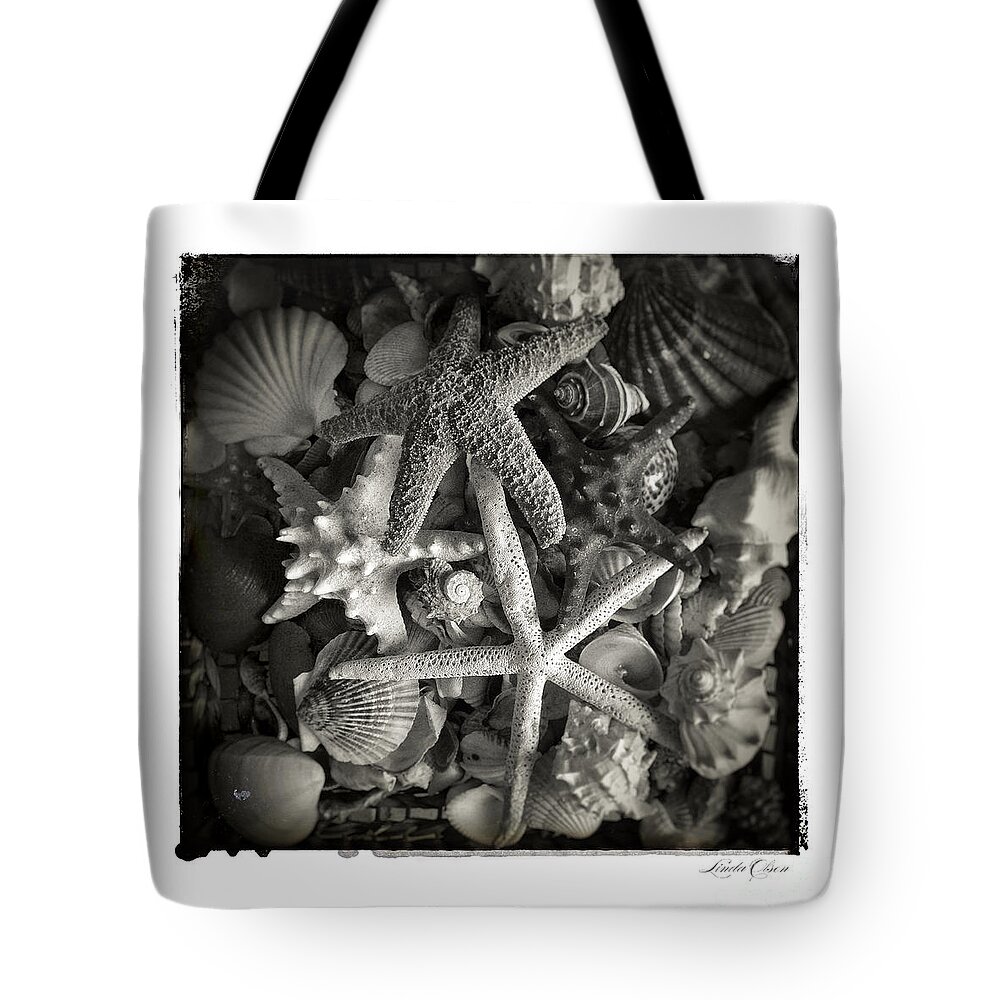 Shell Tote Bag featuring the photograph Basket of shells by Linda Olsen