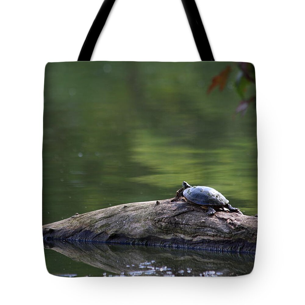 Turtle Tote Bag featuring the photograph Basking Turtle by Lyle Hatch