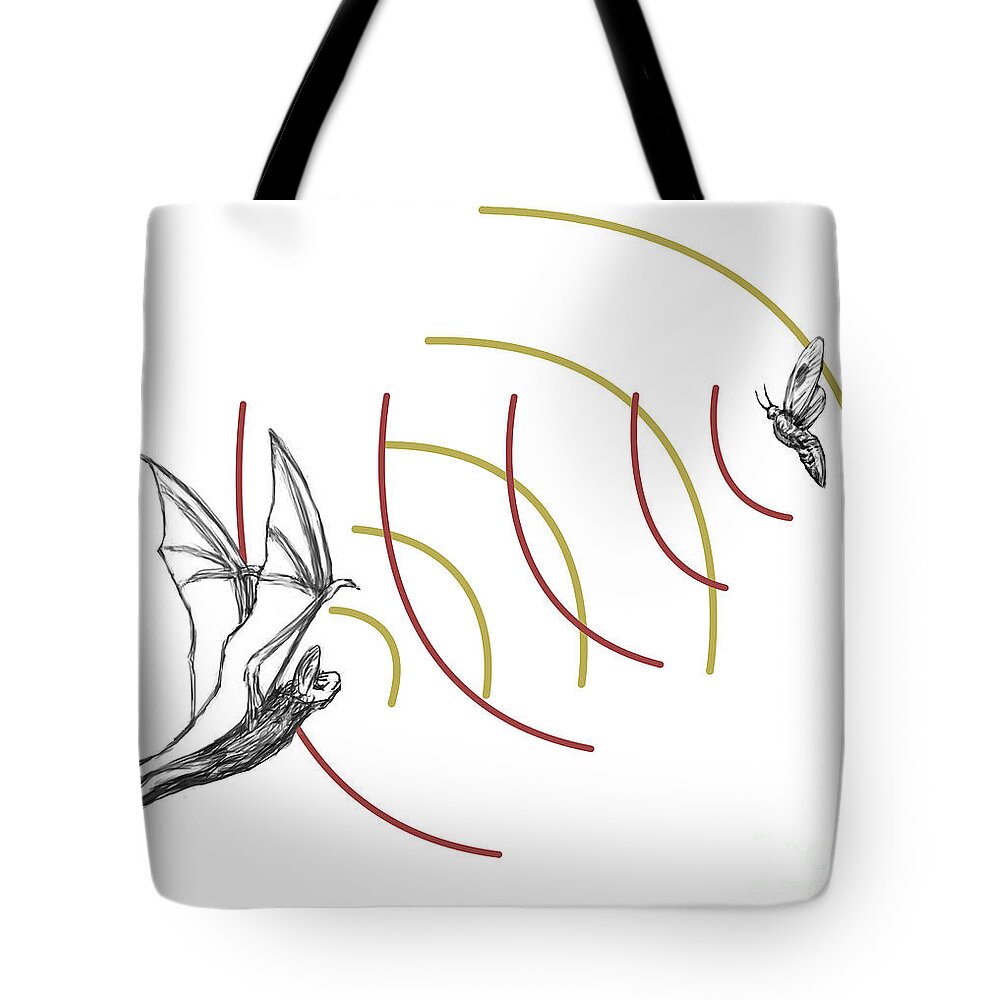 Animal Tote Bag featuring the photograph Bat Bio Sonar by Spencer Sutton