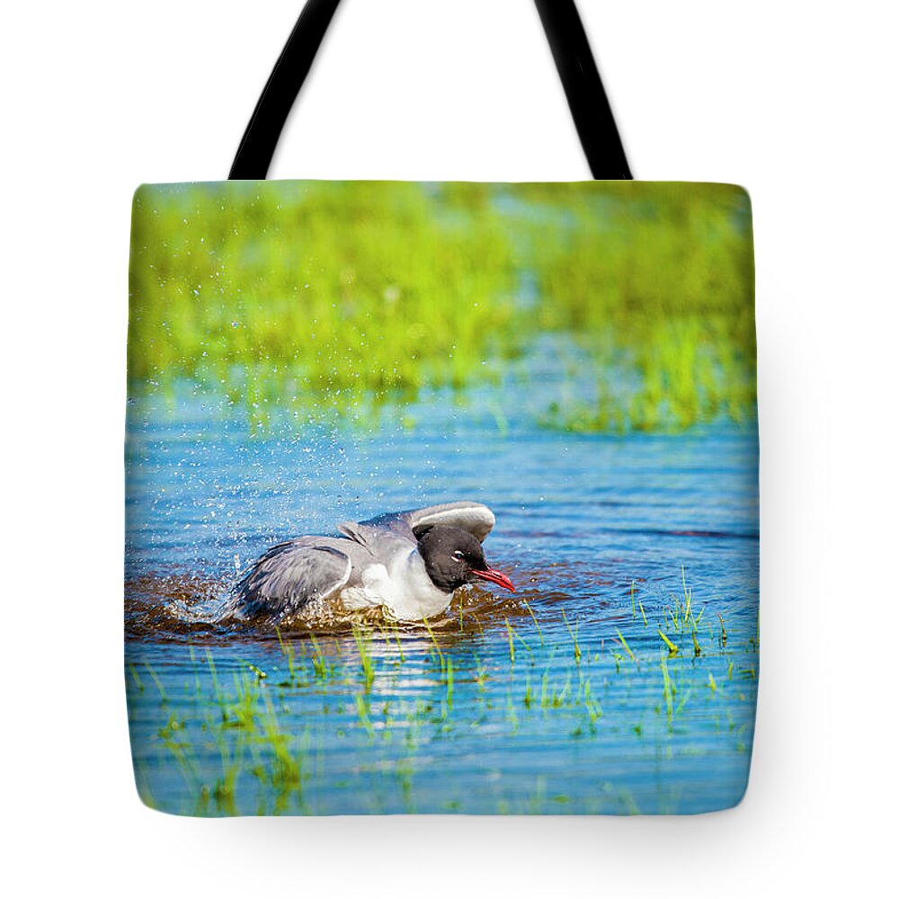 Nature Tote Bag featuring the photograph Bath Time by Cathy Kovarik