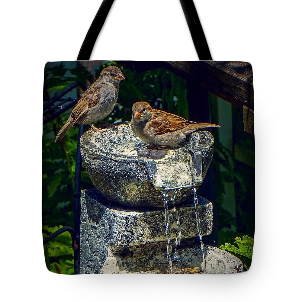  Tote Bag featuring the photograph Bath time by Kendall McKernon