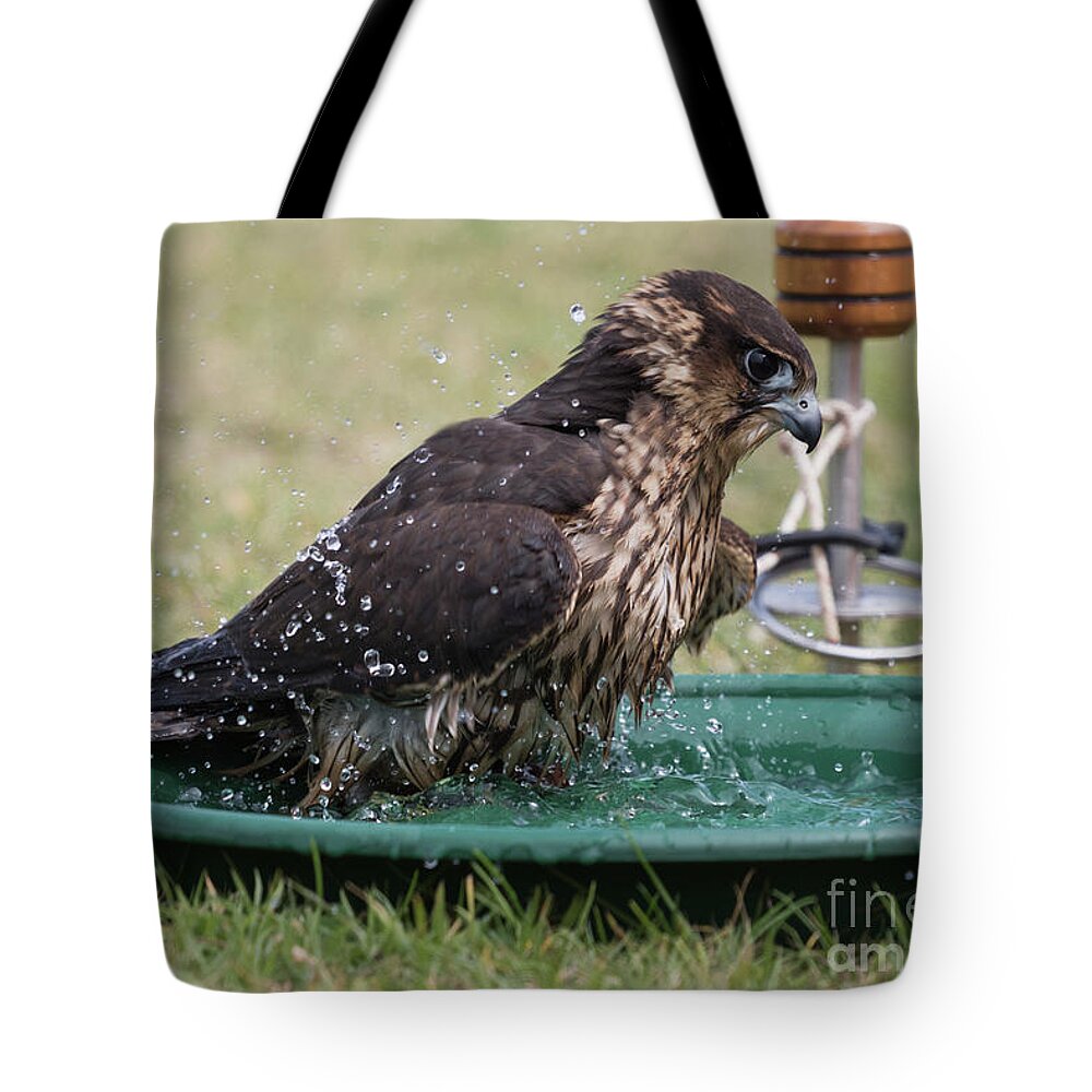 Hawk Tote Bag featuring the photograph Bath Time by Terri Waters