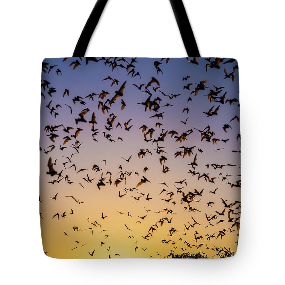 Bats Tote Bag featuring the photograph Bats at Bracken Cave by Michael Tidwell