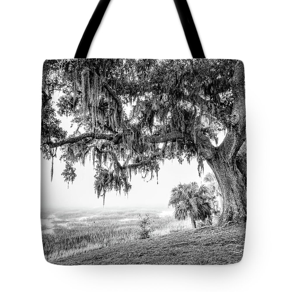 Bay Tote Bag featuring the photograph Bay Street Oak View by Scott Hansen