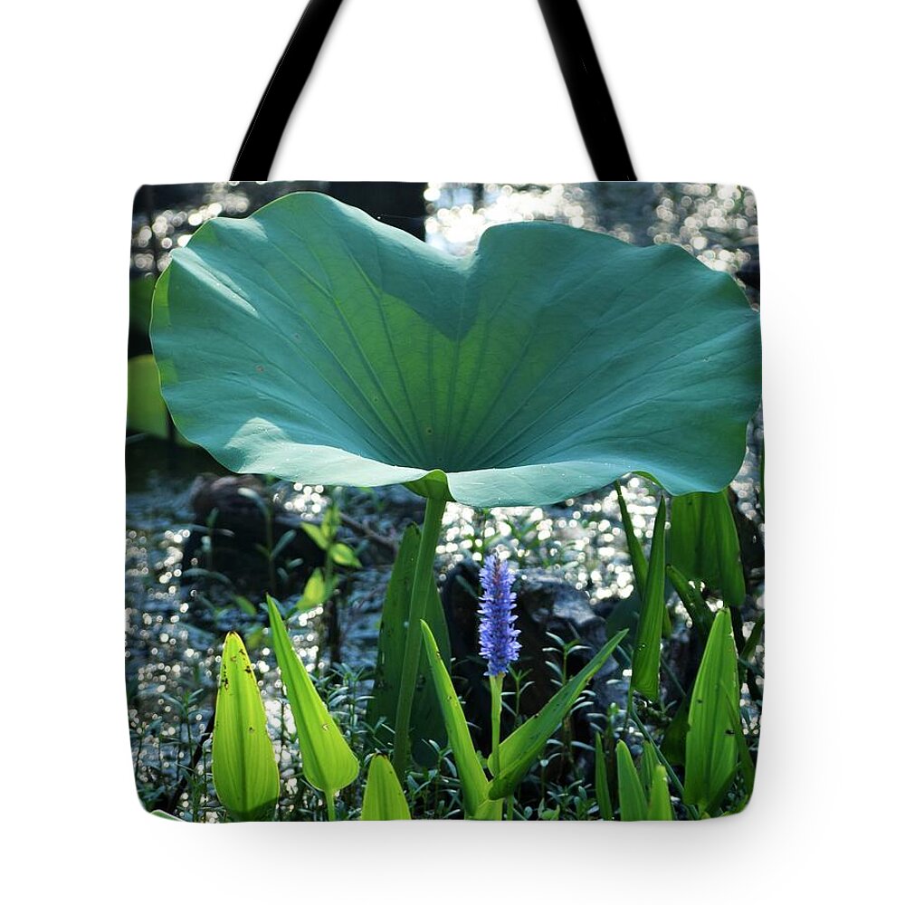 Bayou Tote Bag featuring the photograph Bayou Morning Colors by John Glass