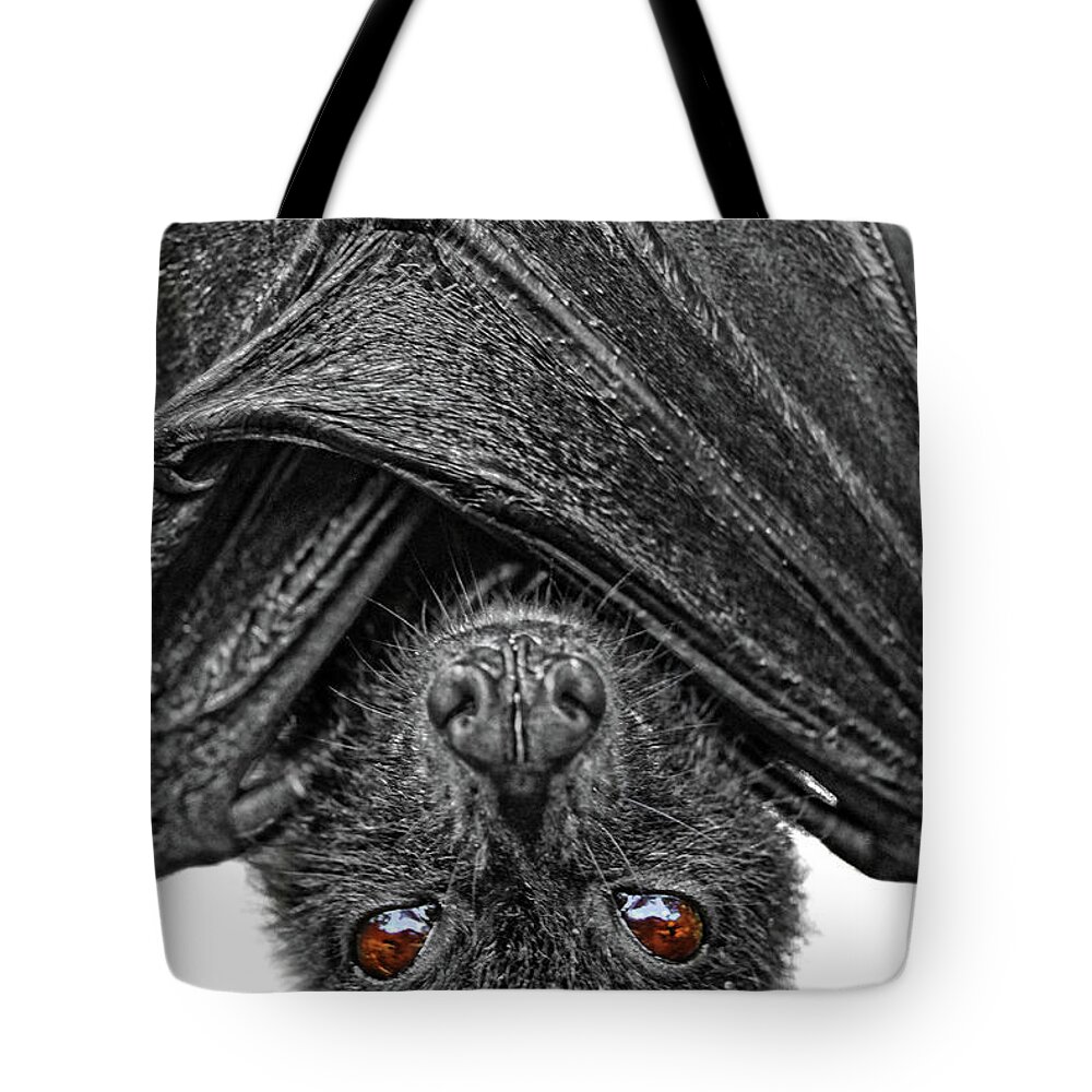 Bat Tote Bag featuring the photograph Be Afraid by Yhun Suarez