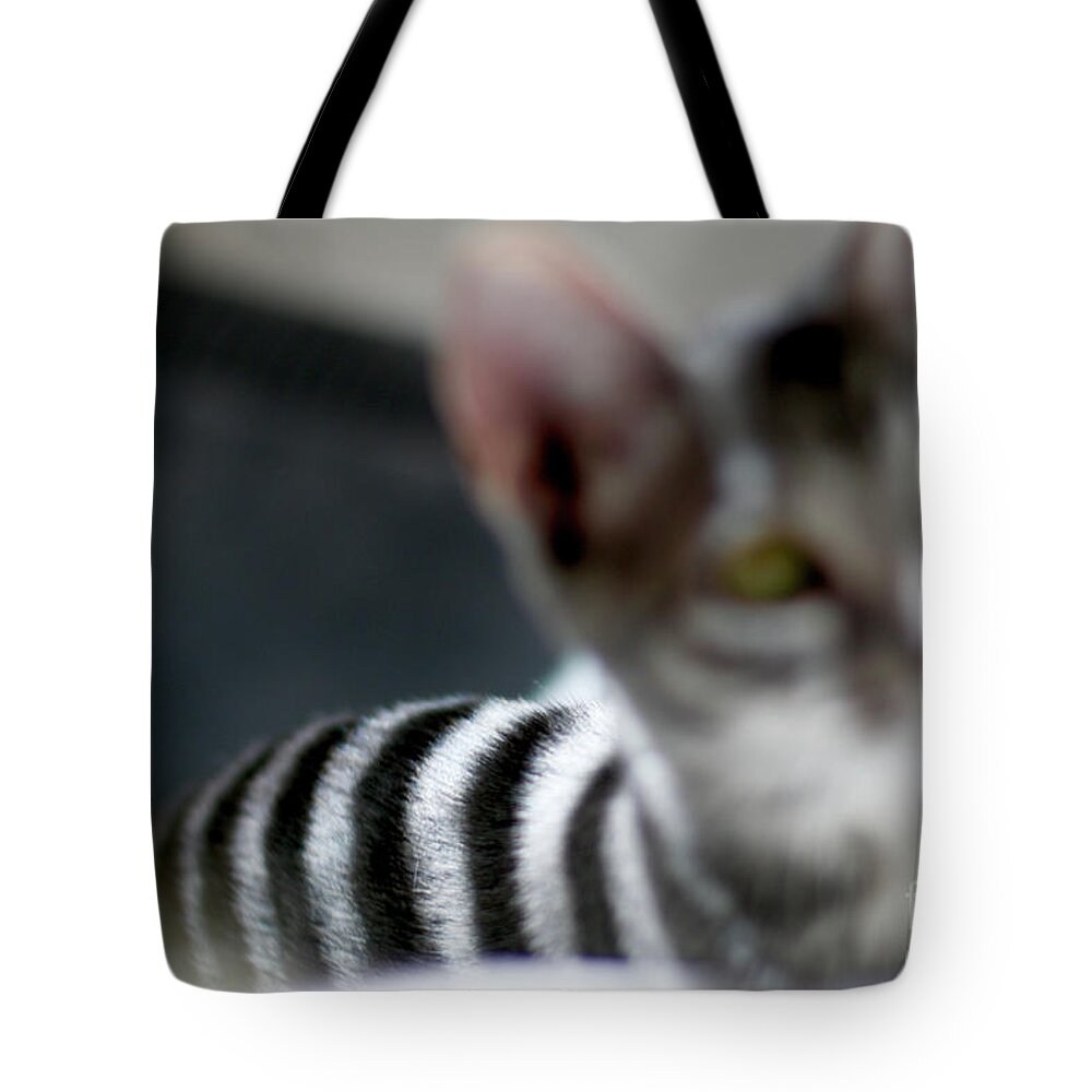 Digital Photography Tote Bag featuring the photograph Be careful what you focus on by Afrodita Ellerman