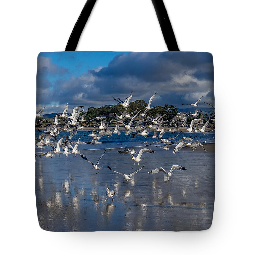 Monterey Tote Bag featuring the photograph Beach Birds by Derek Dean