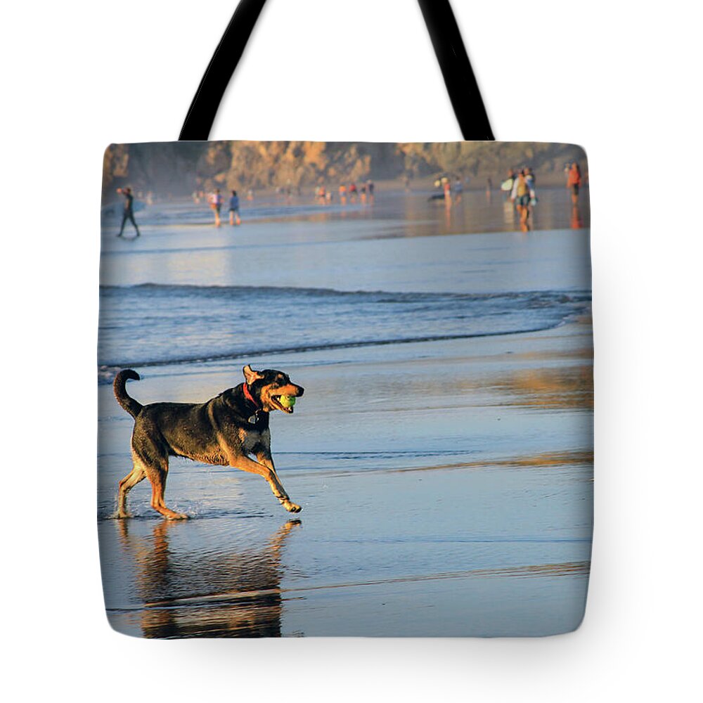 Bonnie Follett Tote Bag featuring the photograph Beach Dog Playing Fetch by Bonnie Follett