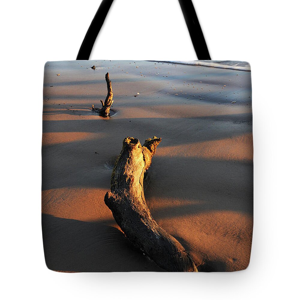 Beach Tote Bag featuring the photograph Beach Driftwood by Ted Keller