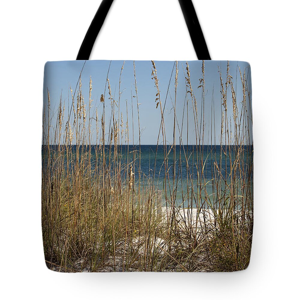 Dune Tote Bag featuring the photograph Beach Dune by Anthony Totah