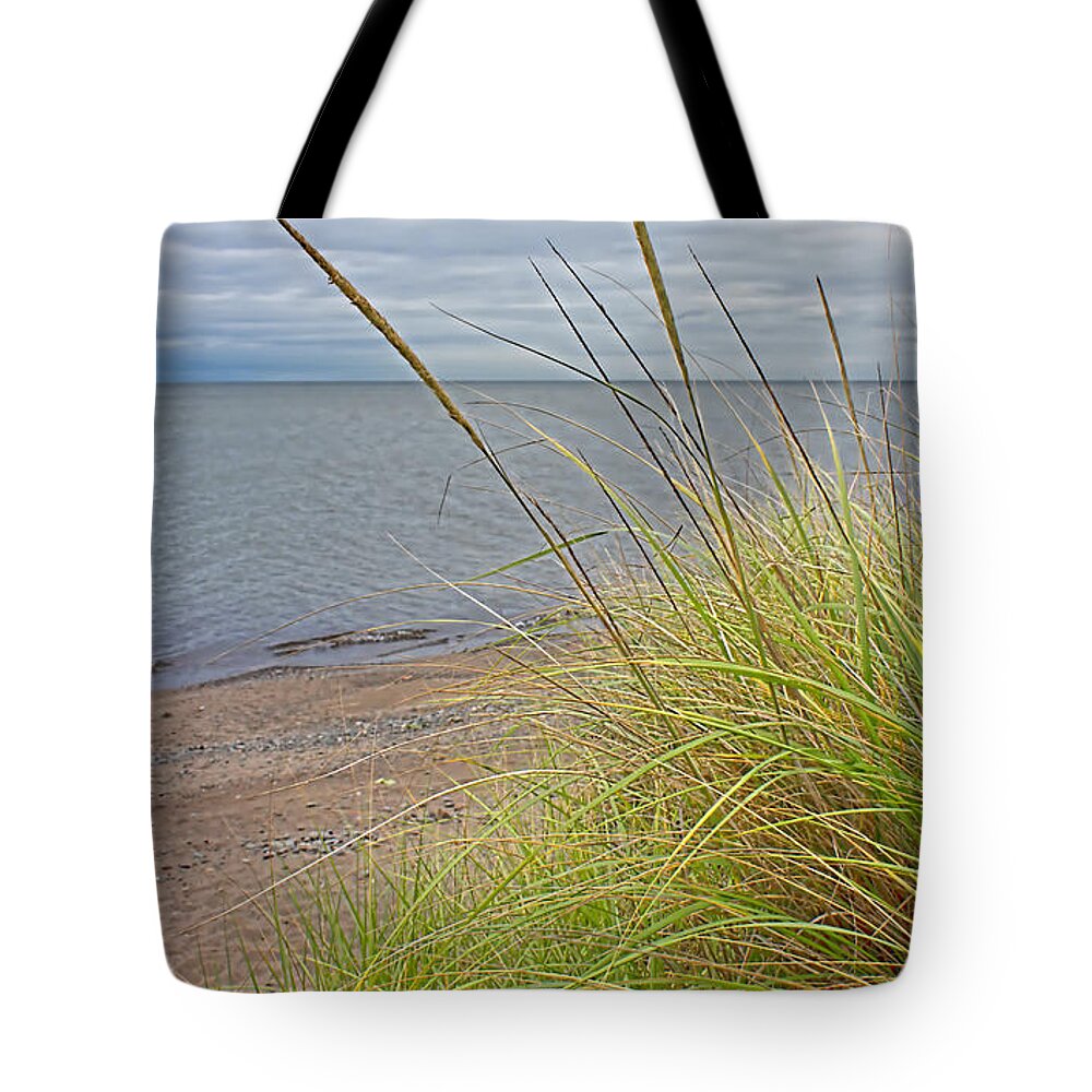 Beach Grass Tote Bag featuring the photograph Beach Grass Sea Glass by Barbara McMahon