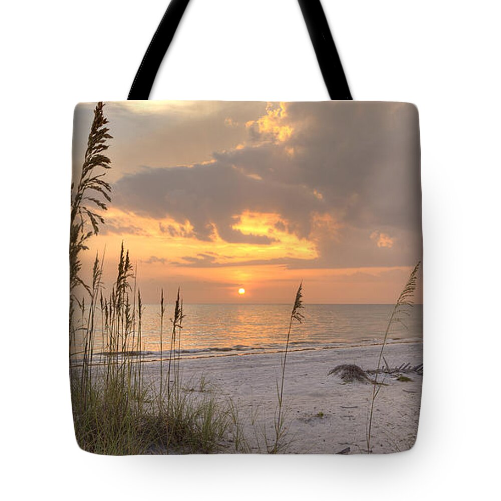 Southwest Tote Bag featuring the photograph Beach Grass Sunset by Sean Allen