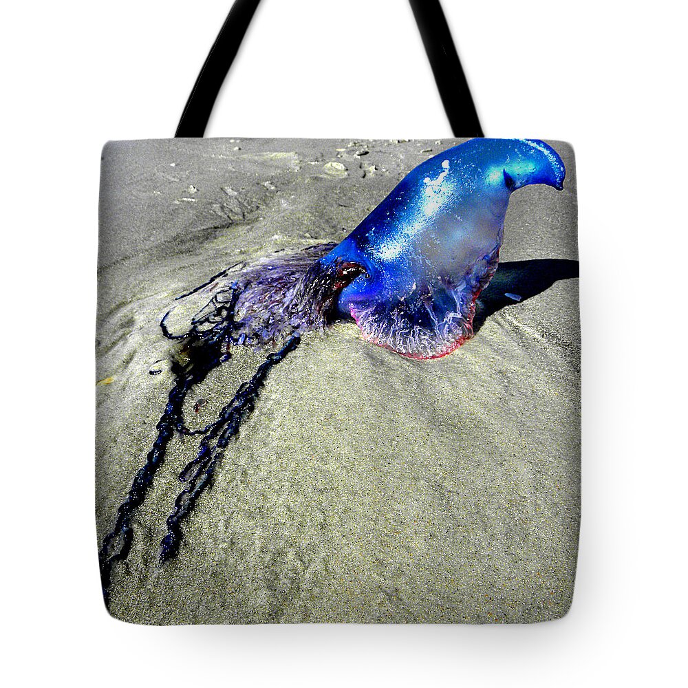 Jellyfish Tote Bag featuring the photograph Beached Jellyfish 000 by Christopher Mercer