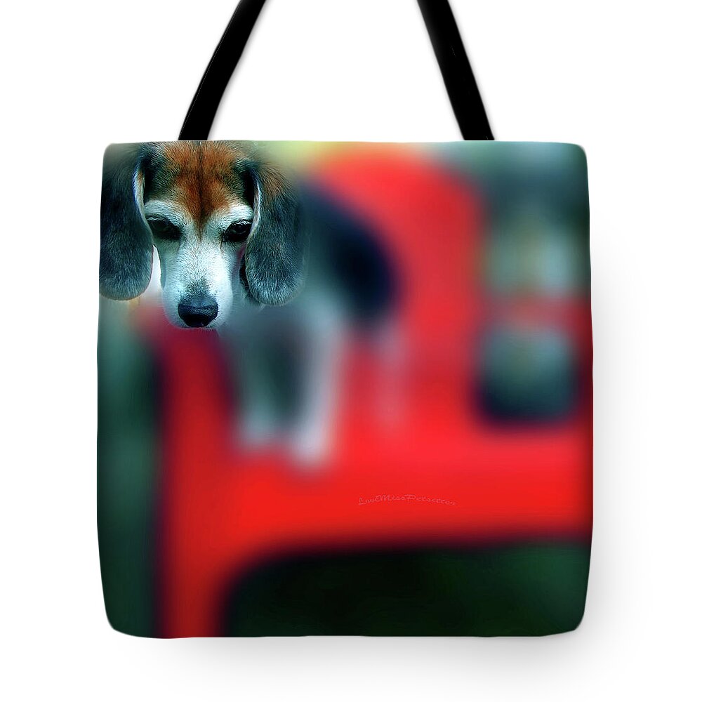 Posters Tote Bag featuring the digital art Beagle Beba Portrait by Miss Pet Sitter