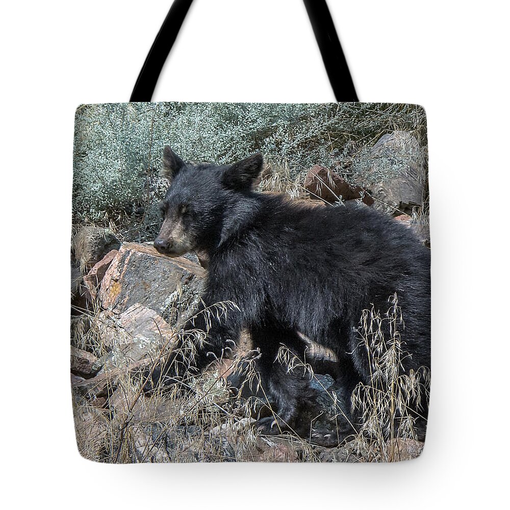 Black Bear Tote Bag featuring the photograph Bear Cub Walking by Stephen Johnson
