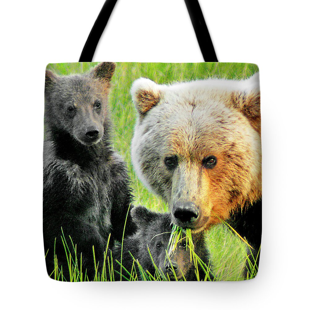 Grizzly Tote Bag featuring the photograph Bear Family Portraait by Ted Keller
