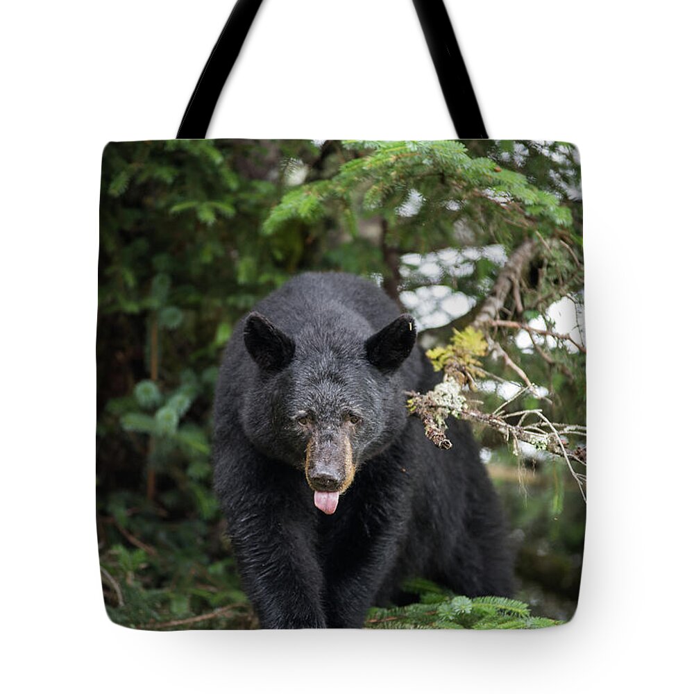 Black Bear Tote Bag featuring the photograph Bear Tongue by David Kirby