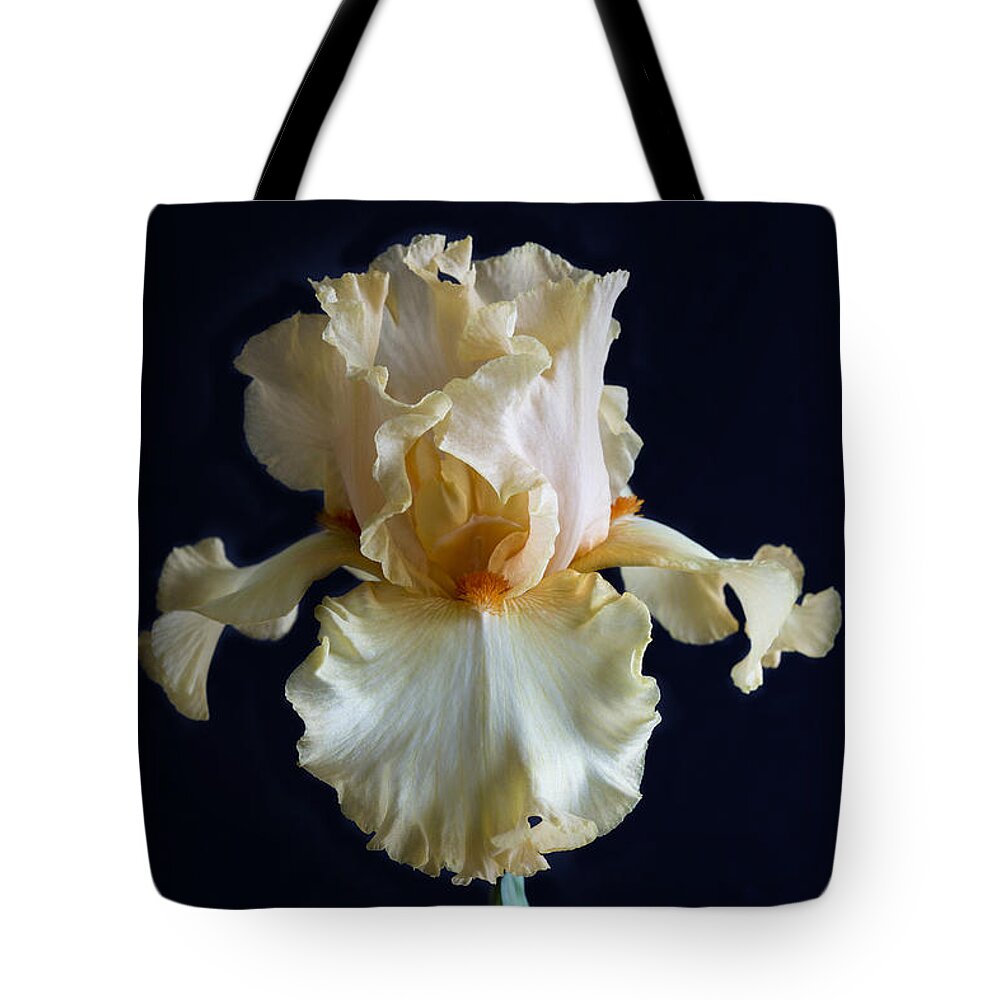 Bearded Iris Tote Bag featuring the photograph Bearded Iris 3 #1 by Elena Nosyreva