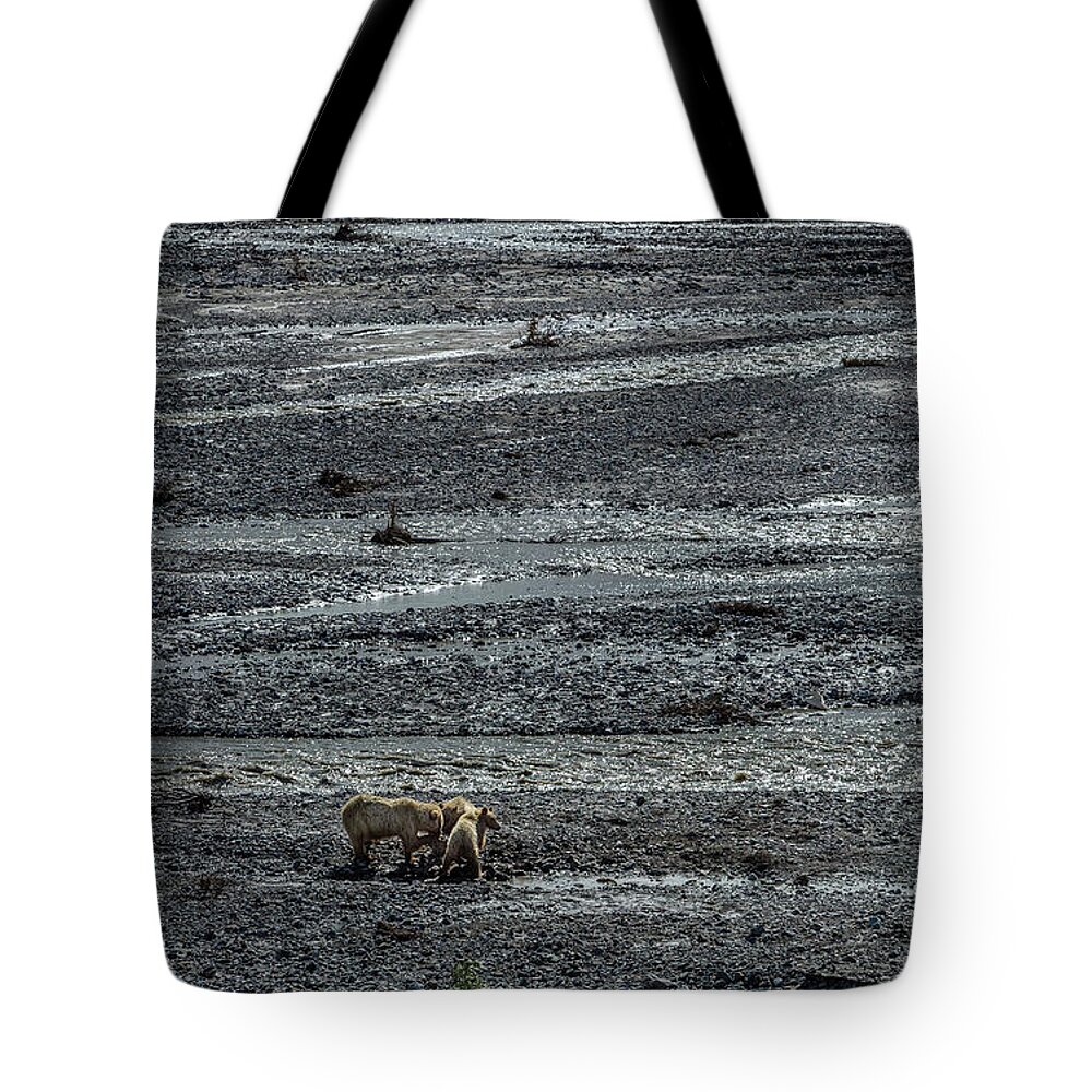 Grizzly Bear Tote Bag featuring the photograph Bears In Denali by Randall Evans