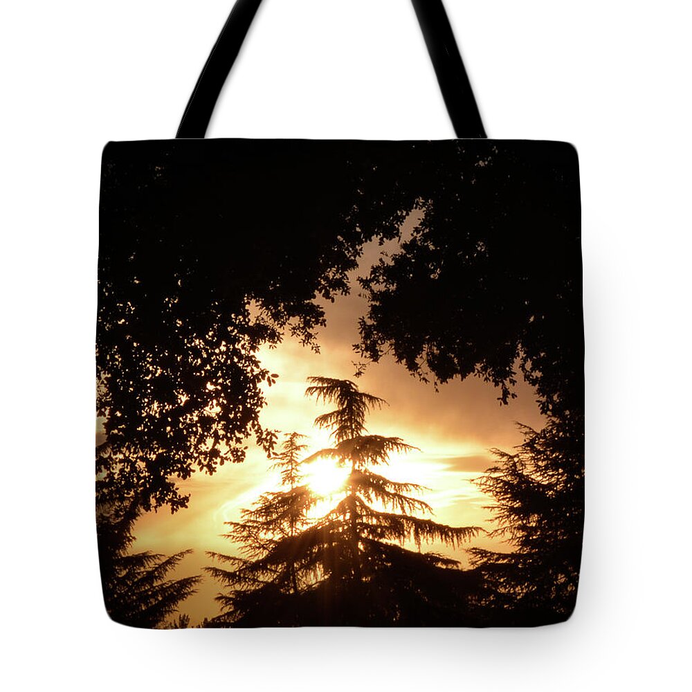 Evergreen Tree Silhouette Tote Bag featuring the photograph Beaumont Sunset by Leah McPhail