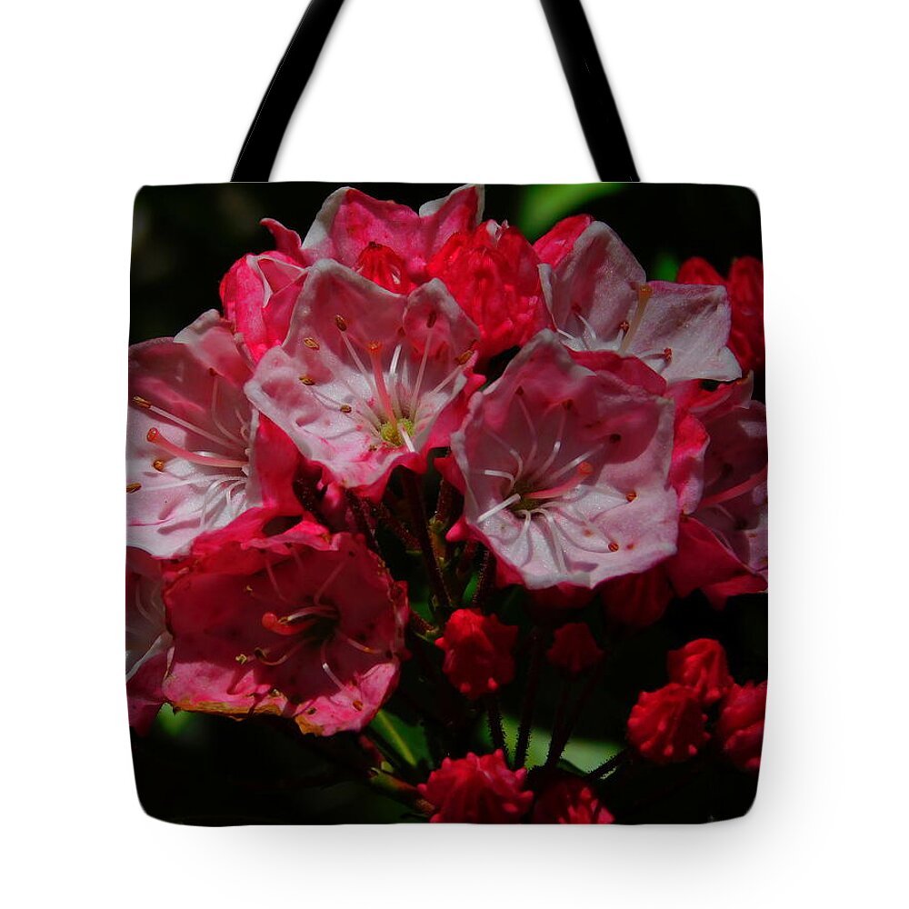 Kingston Tote Bag featuring the photograph Beautiful Azaleas by Catherine Gagne
