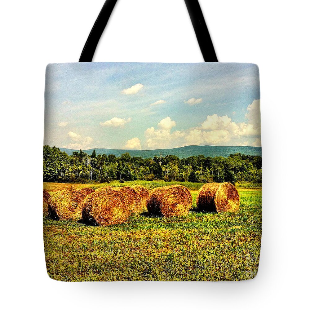 Bales Tote Bag featuring the photograph Beautiful Bales by Onedayoneimage Photography