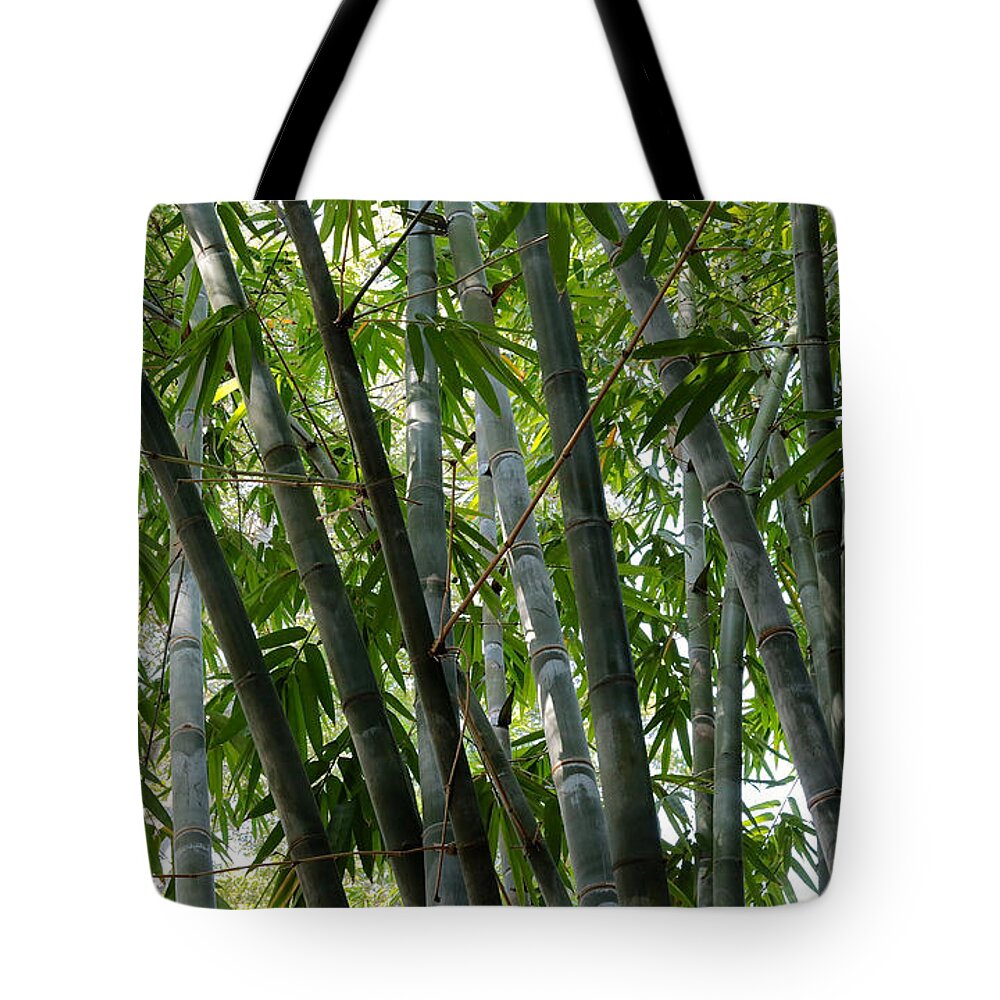 Bamboo Tote Bag featuring the photograph Beautiful Bamboo by Carol Groenen