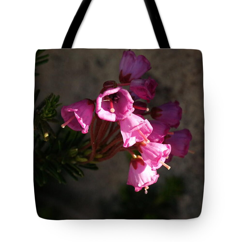 Flower Tote Bag featuring the photograph Beautiful bells by Jeff Swan