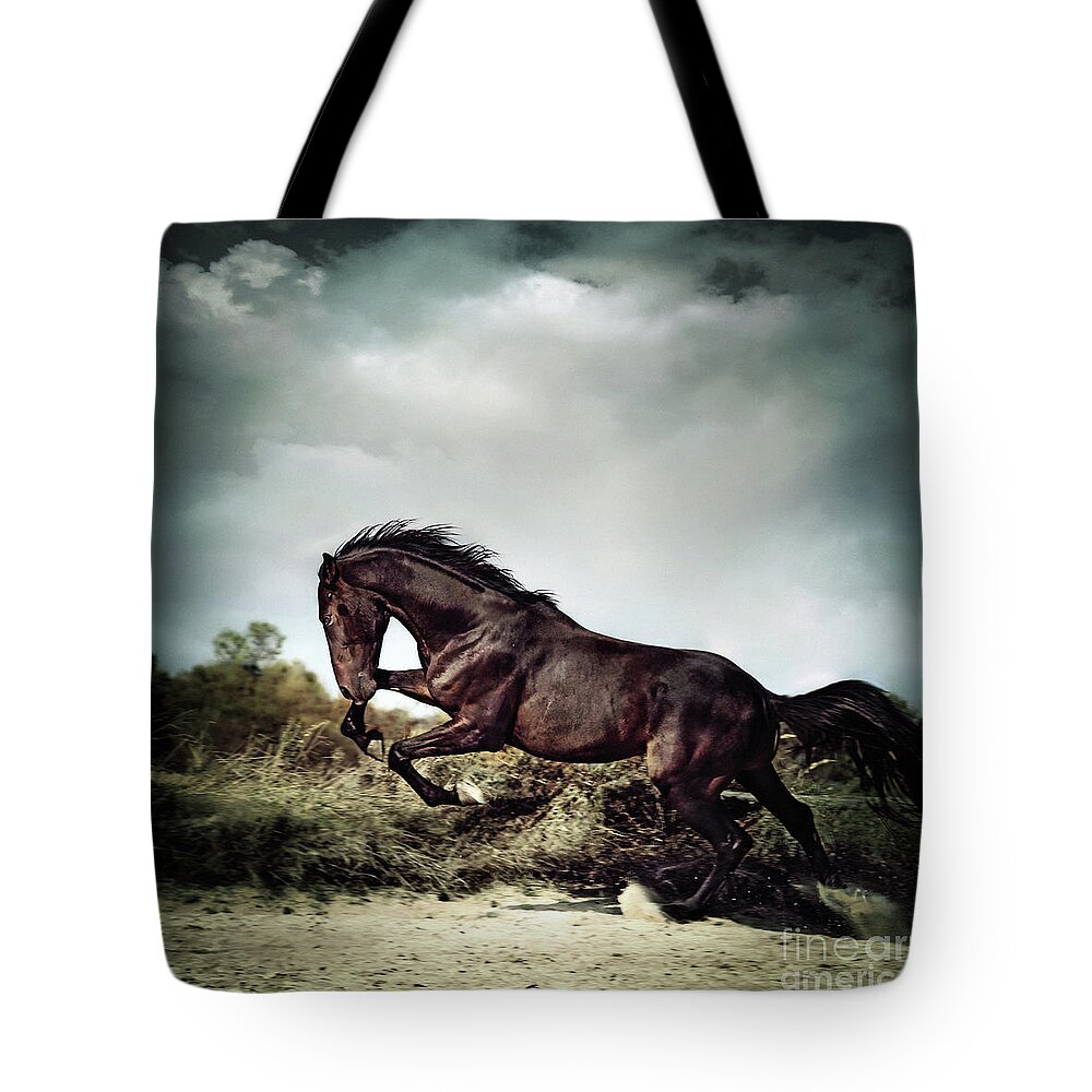 Horse Tote Bag featuring the photograph Beautiful black stallion horse running on the stormy sky by Dimitar Hristov