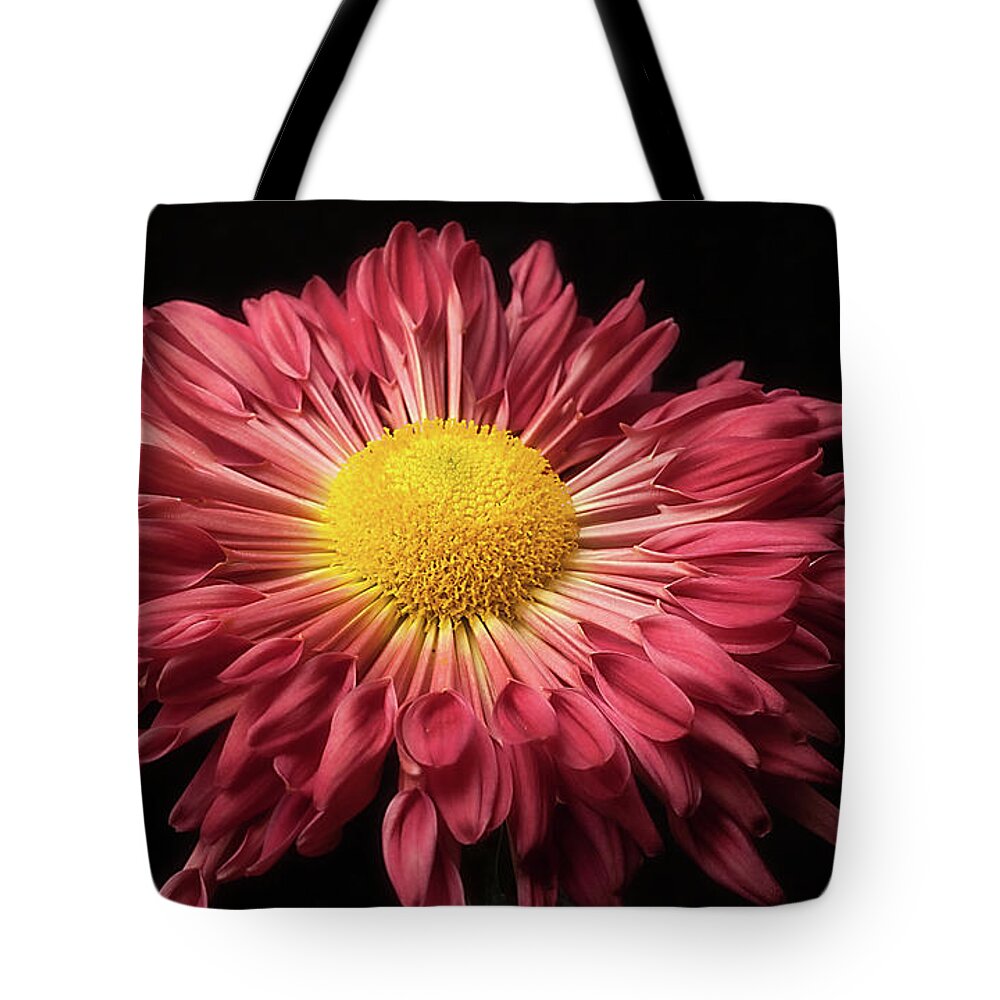Flower Tote Bag featuring the photograph Beautiful Chrysanthemum by Ann Jacobson