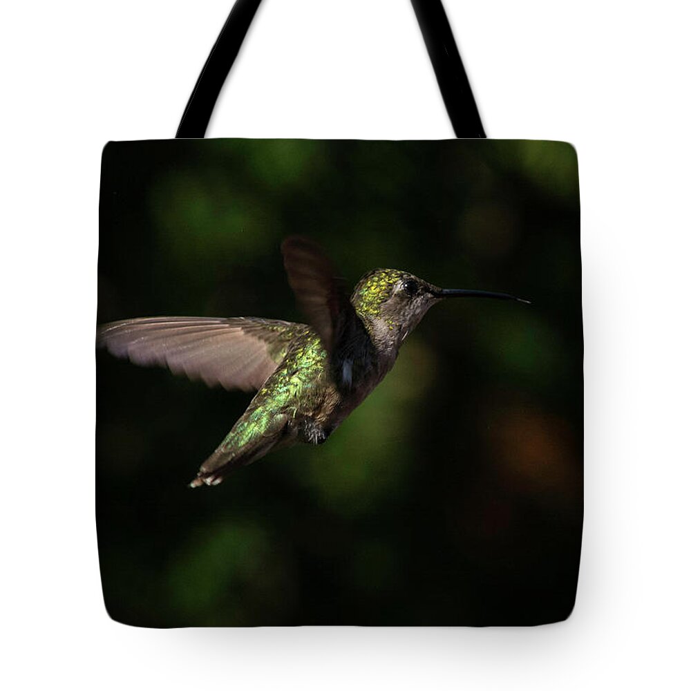 Colorful Hummingbird In Flight Tote Bag featuring the photograph Beautiful colors by Kenneth Cole