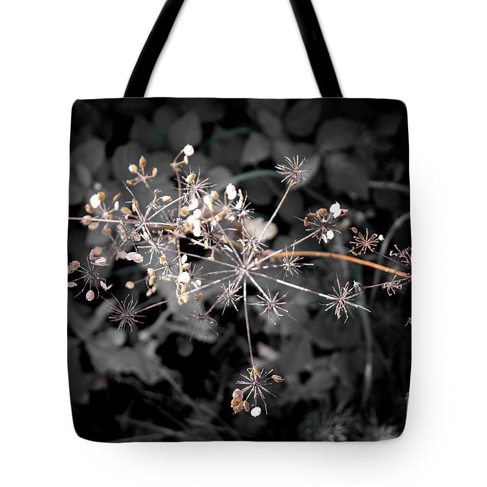 Michelle Meenawong Tote Bag featuring the photograph Beautiful Dryness by Michelle Meenawong