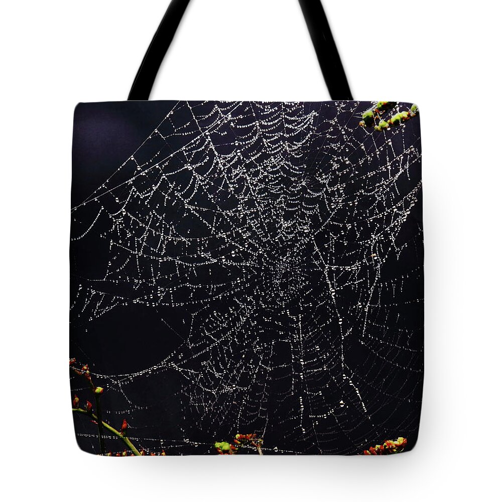 Spiders Webs Tote Bag featuring the photograph Beautiful Entrapment by Jeff Townsend