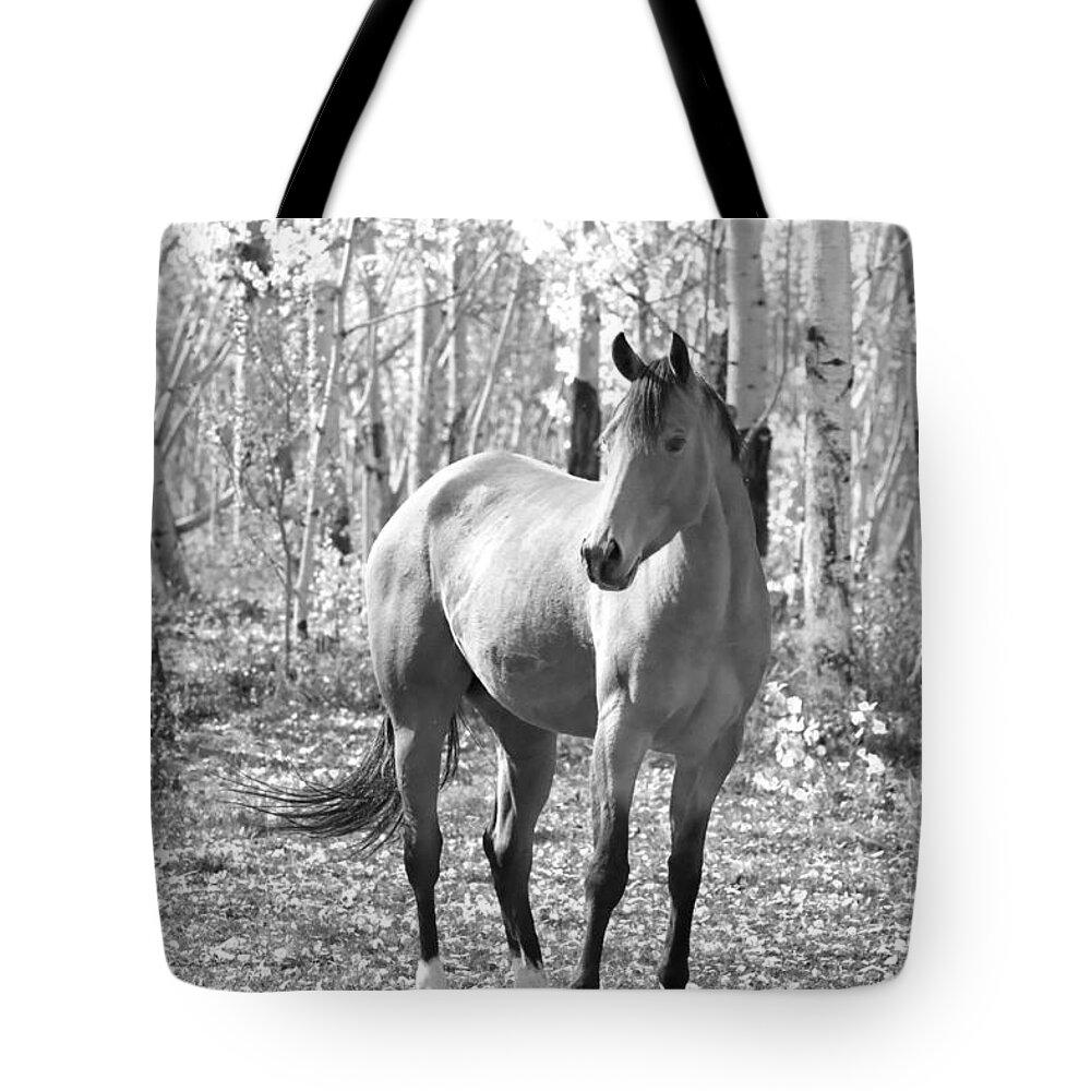 Equine Tote Bag featuring the photograph Beautiful Horse in Black and White by James BO Insogna