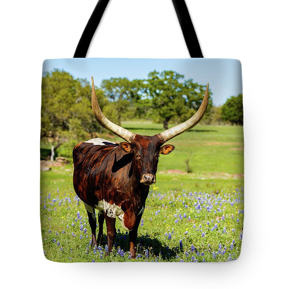 African Breed Tote Bag featuring the photograph Beautiful longhorn bull by Raul Rodriguez