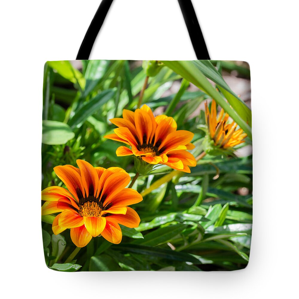 Flower Tote Bag featuring the photograph Beautiful Orange Flowers by Valerie Cason