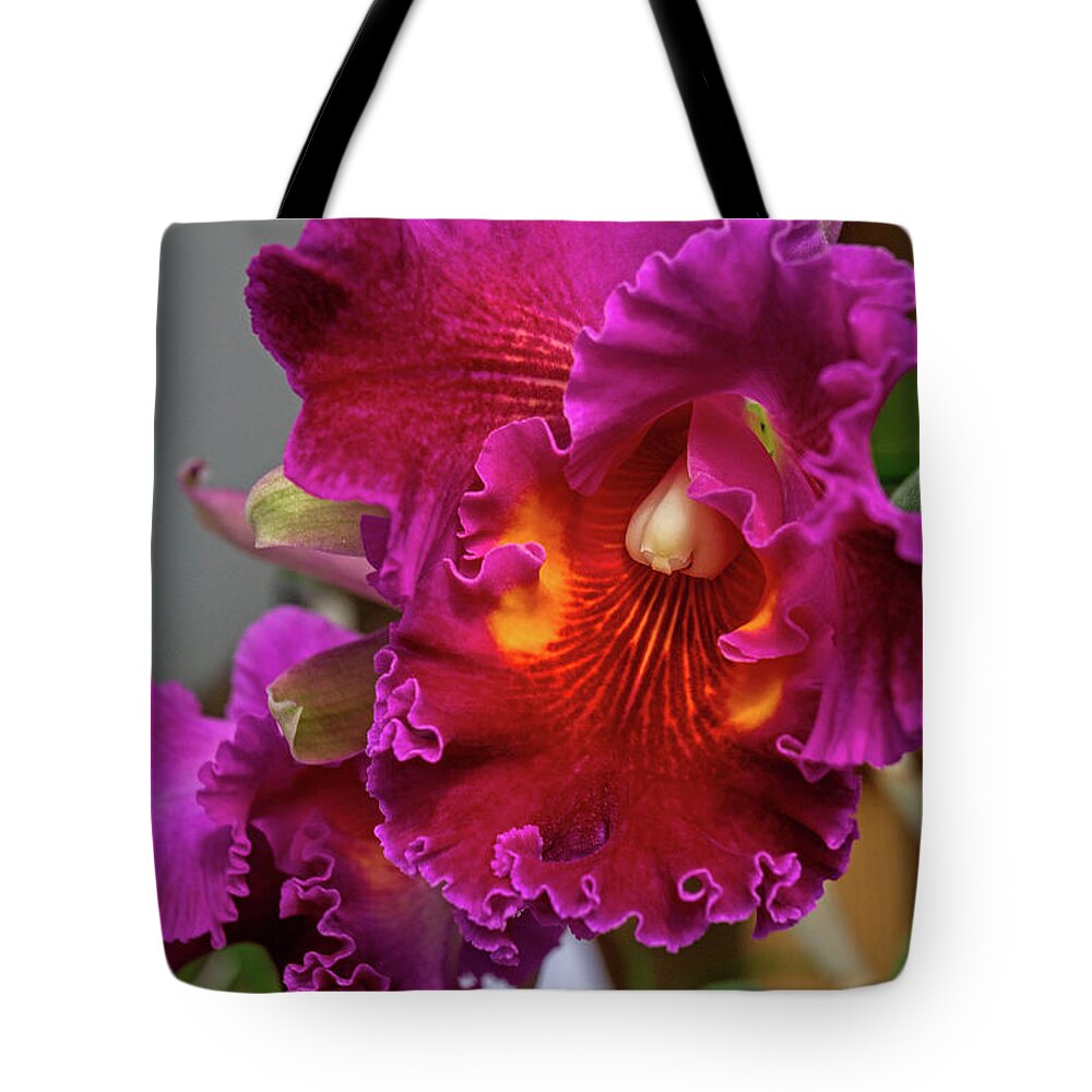 Botanical Tote Bag featuring the photograph Beautiful Orchid by Alana Thrower