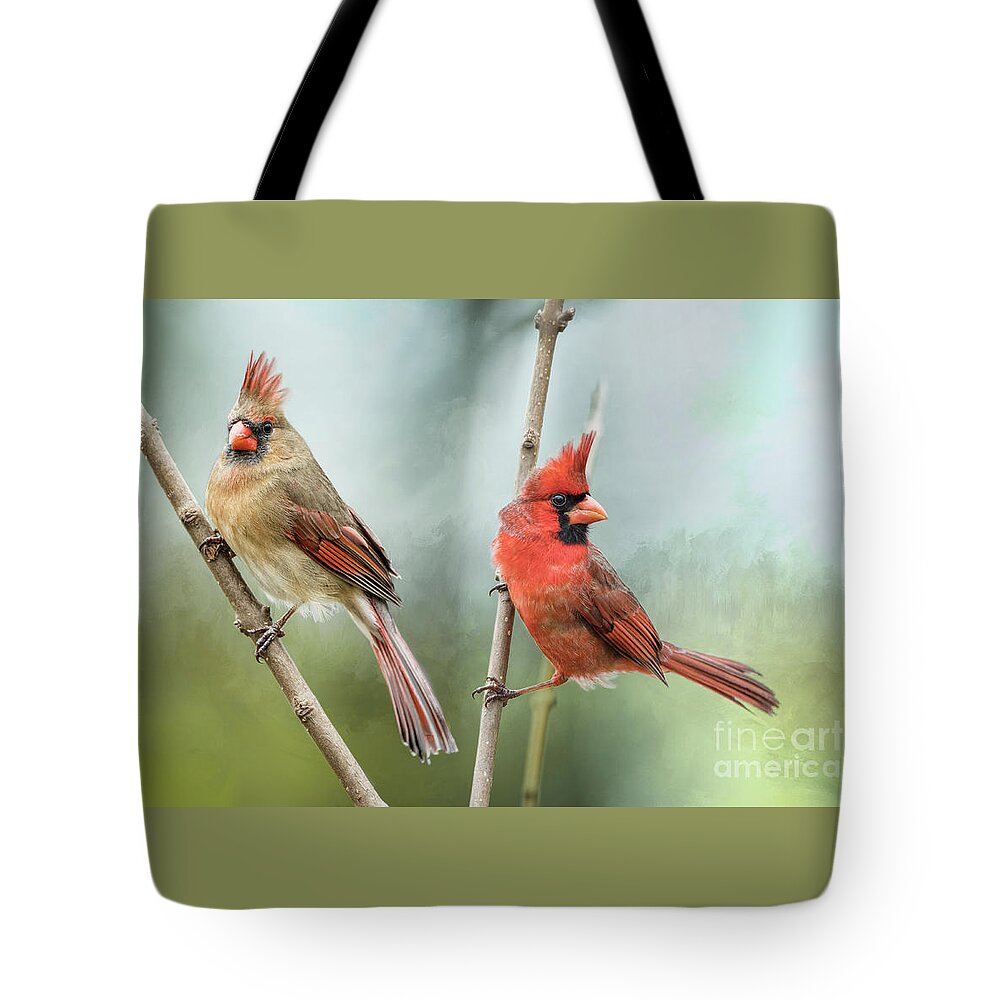 Redbird Pair Tote Bag featuring the photograph Beautiful Redbird Pair by Bonnie Barry