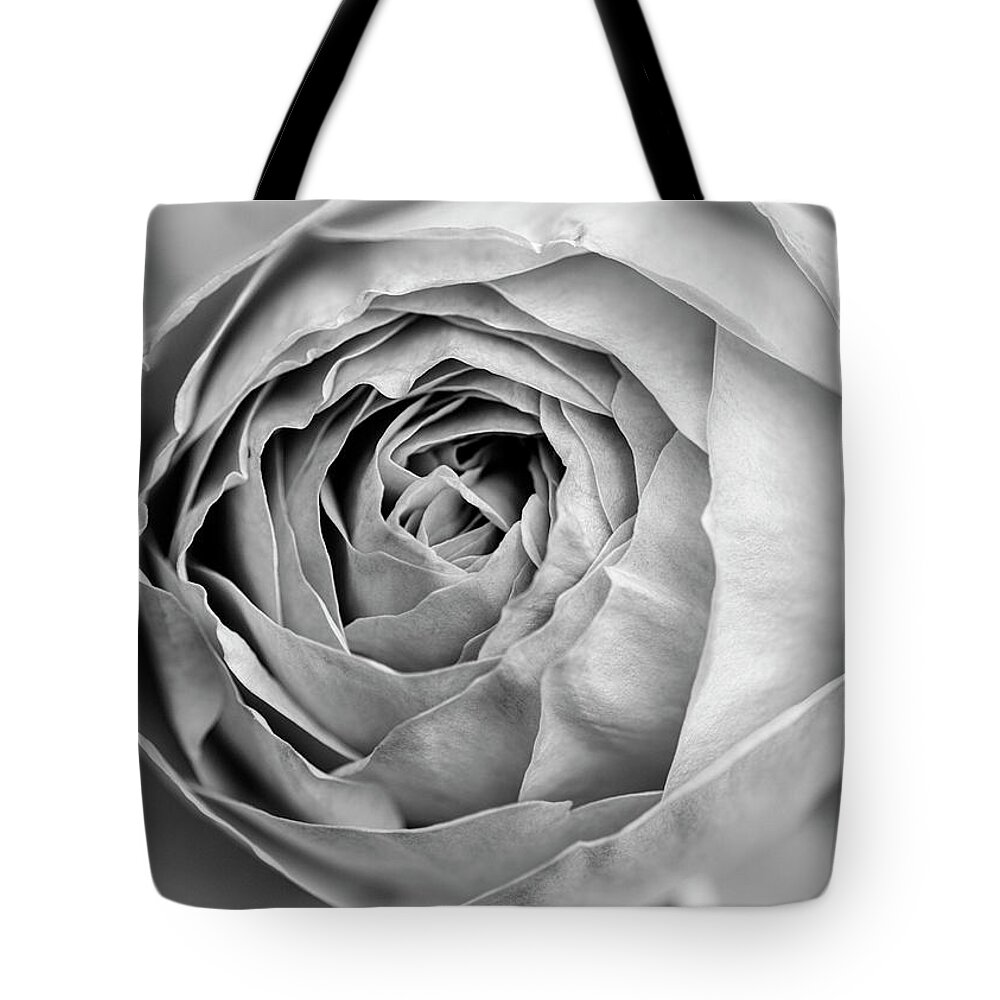Rose Tote Bag featuring the photograph Beautiful rose closeup in black and white by Vishwanath Bhat