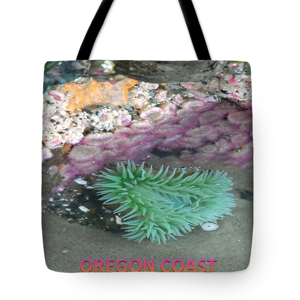 Sea Anemones Tote Bag featuring the photograph Beautiful Sea Anemones by Gallery Of Hope 