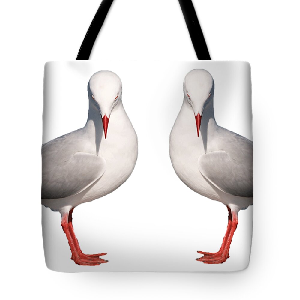 Seagull; Silver Gull;t-shirt; Wall Art;framed Art; Tote Bag featuring the photograph Beautiful Silver Gull. Original and Exclusive Photo Art. by Geoff Childs
