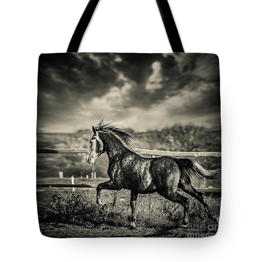 Horse Tote Bag featuring the photograph Beautiful stallion running by Dimitar Hristov