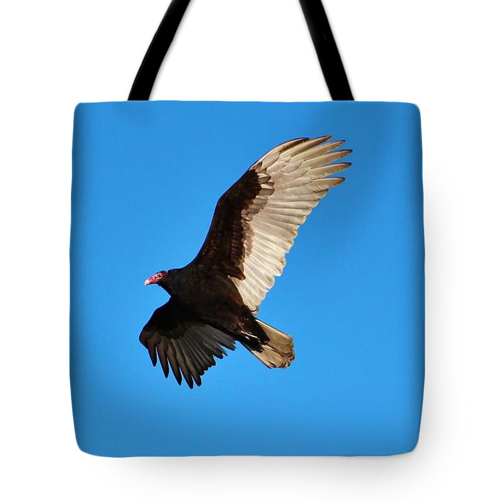 Turkey Vulture Tote Bag featuring the photograph Beautiful Wings by Cynthia Guinn